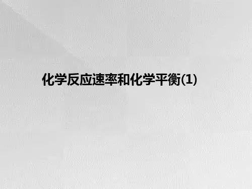 化学反应速率和化学平衡专题PPT教学课件