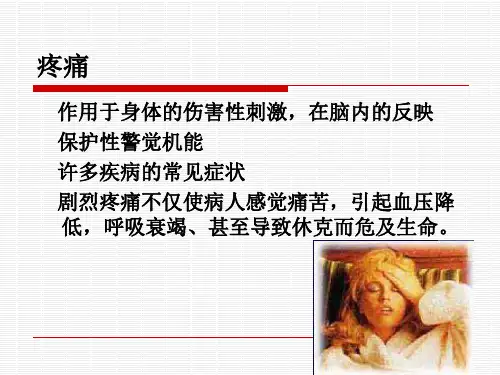 药物化学镇痛药物