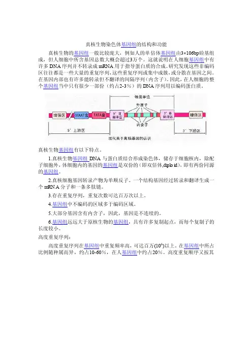 真核生物染色体基因组的结构和功能