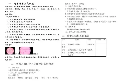 观察洋葱表皮细胞生物实验报告
