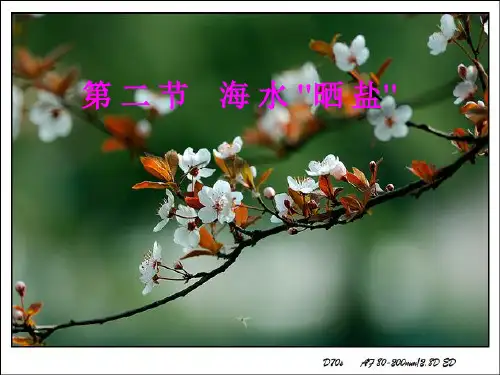 第二节海水晒盐