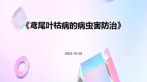 鸢尾叶枯病的病虫害防治