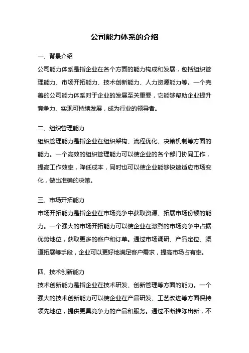 公司能力体系的介绍