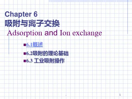 生物工程下游技术 吸附与离子交换PPT课件
