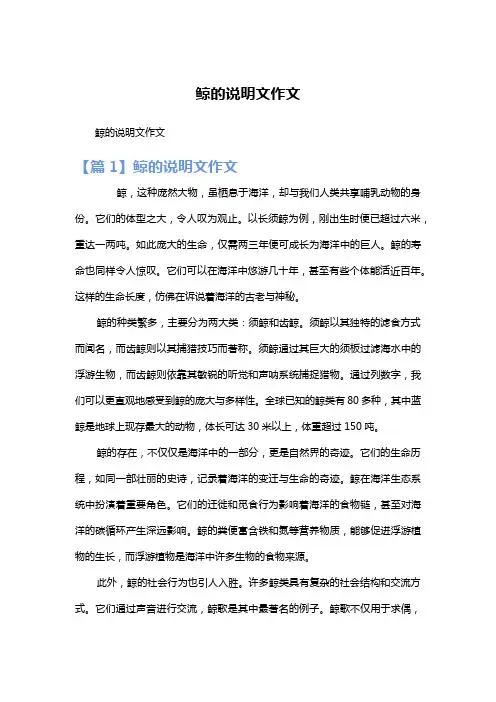 鲸的说明文作文
