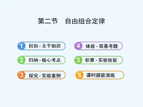 【全程复习方略】(浙江专用)高中生物 1.2自由组合定律配套课件 浙科版必修2