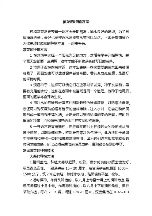 蔬菜的种植方法