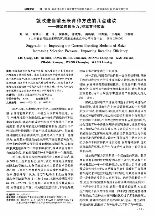 就改进当前玉米育种方法的几点建议——增加选择压力,提高育种效率