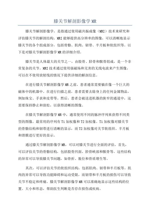 膝关节解剖影像学MR