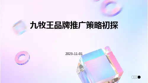 九牧王品牌推广策略初探