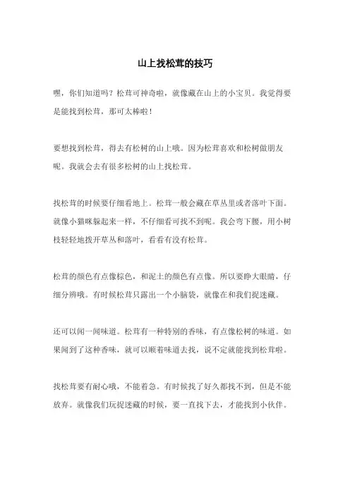 山上找松茸的技巧