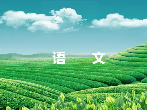 【浙江新中考】中考语文总复习第五篇作文专题五中考满分作文解密新人教版精品PPT课件