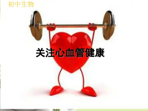 初中生物：第四章第四节 关注心血管健康