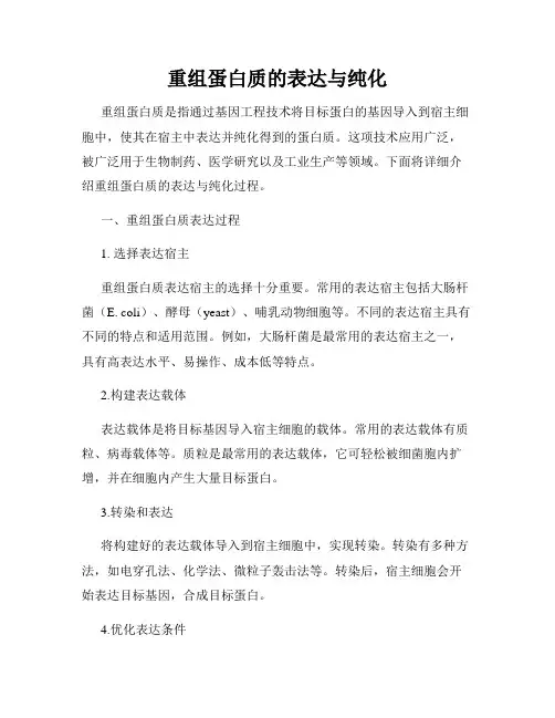 重组蛋白质的表达与纯化