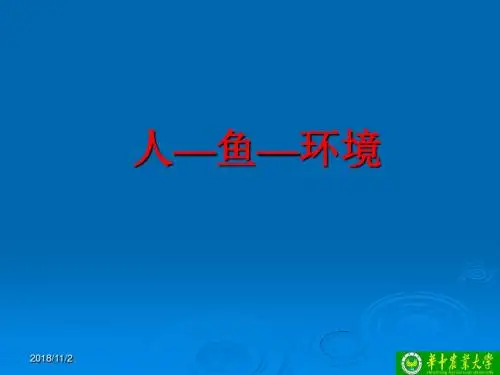 人-鱼-环境