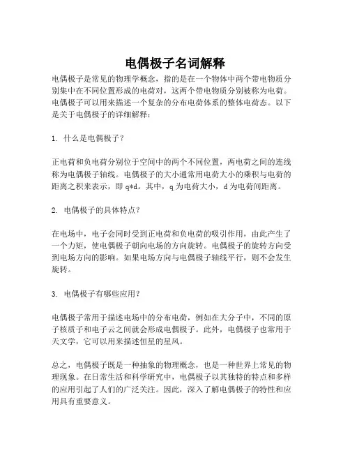电偶极子名词解释