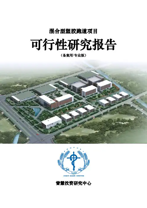 混合型塑胶跑道项目可行性研究报告备案用(专业版)