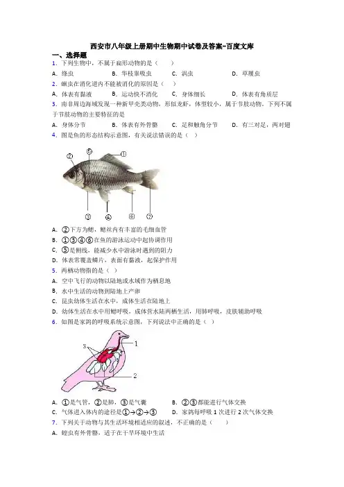 西安市八年级上册期中生物期中试卷及答案-百度文库