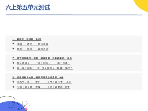 苏教版六上第五单元测试课件