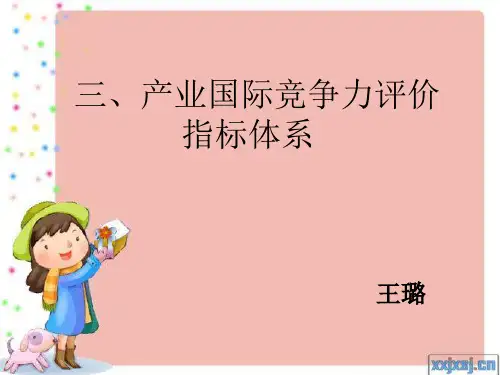 国际竞争力评价体系