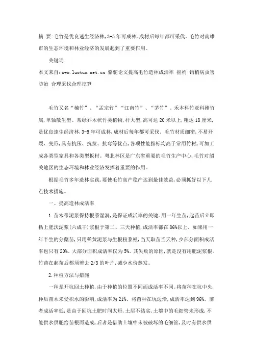 毛竹