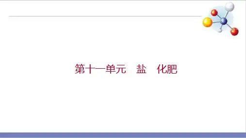 云南省中考化学一轮复习盐化肥PPT精品课件