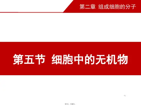2.5-细胞中的无机物(29张PPT)