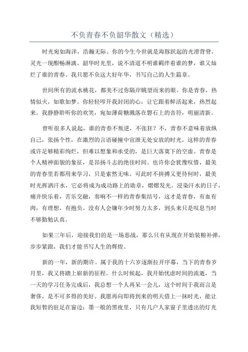 不负青春不负韶华散文(精选)