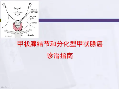 甲状腺结节指南PPT演示课件
