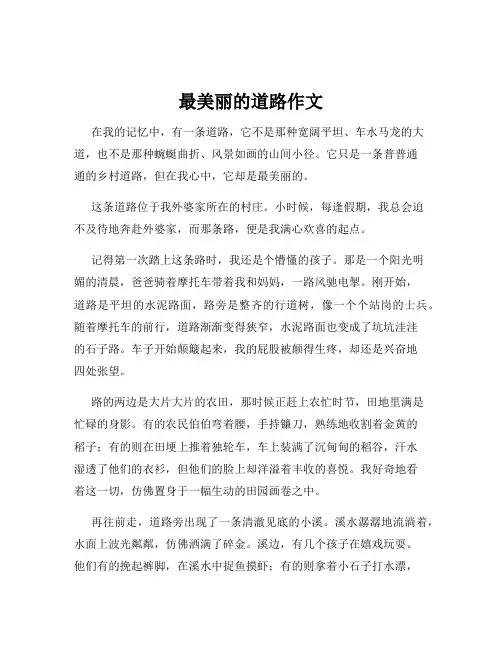 最美丽的道路作文