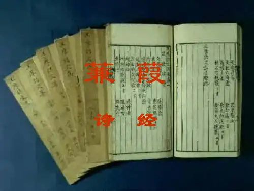 大学语文 《蒹葭》