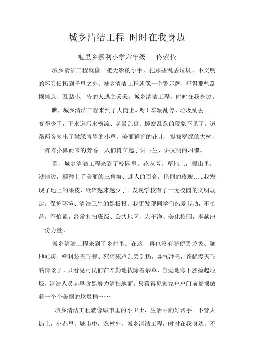 城乡清洁工程 时时在我身边
