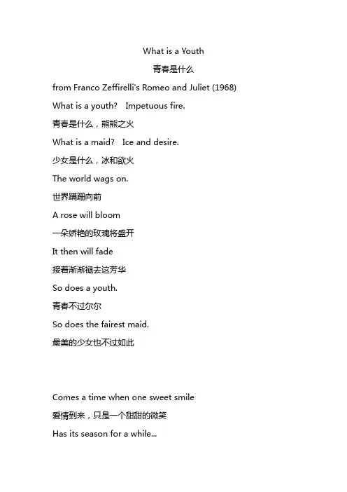 what is a youth  歌词翻译