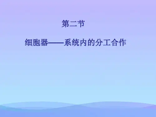 人教版高中生物必修一第3章第2节细胞器——系统内的分工合作  课件(共21张PPT)