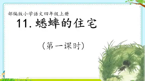 蟋蟀的住宅ppt课件