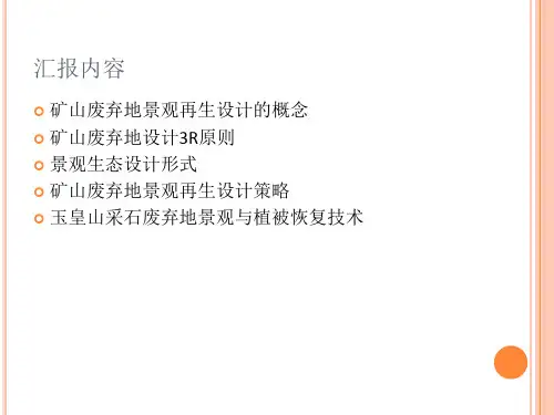 矿山废弃地景观与生态恢复-PPT课件.ppt