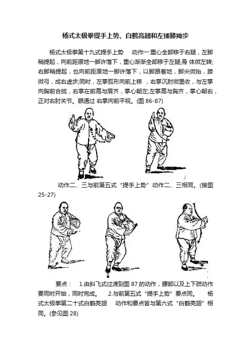 杨式太极拳提手上势、白鹤亮翅和左搂膝拗步