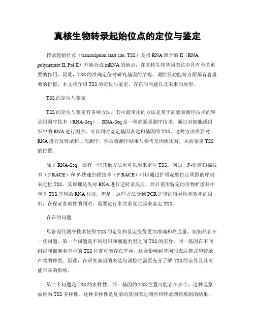 真核生物转录起始位点的定位与鉴定