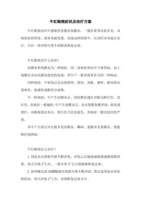 牛红眼病症状及治疗方案