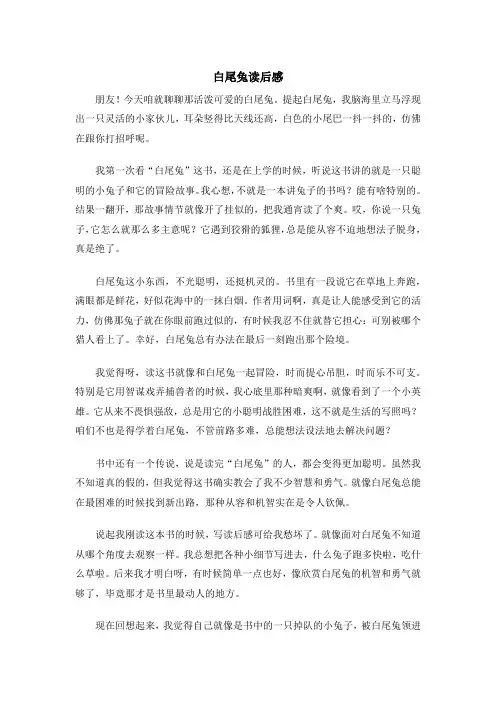 白尾兔读后感