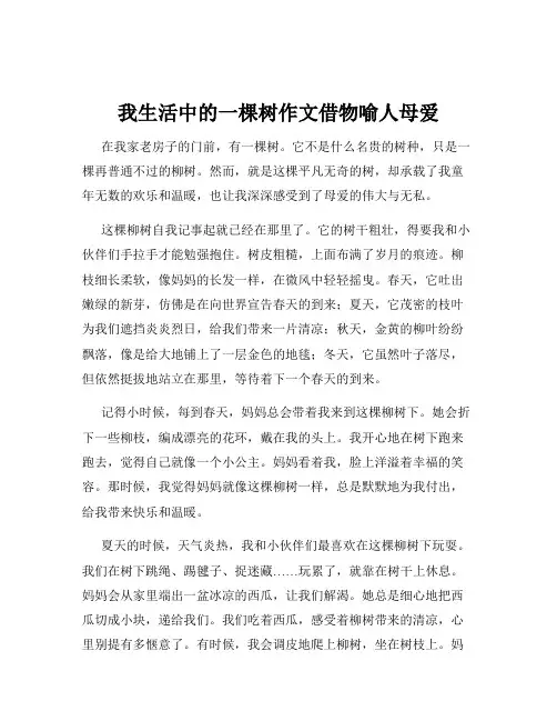 我生活中的一棵树作文借物喻人母爱