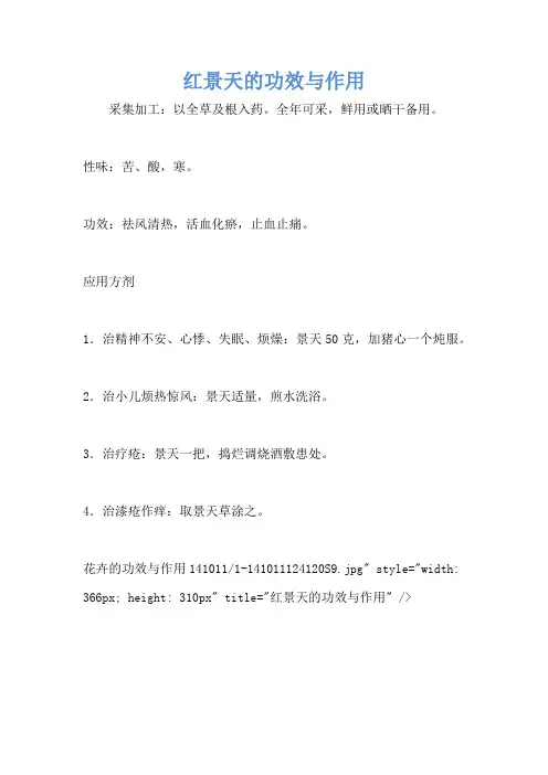 红景天的功效与作用 3