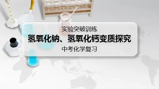 中考化学实验专项训练氢氧化钠、氢氧化钙变质探究