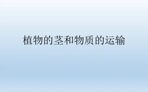 第4节植物的茎与物质运输(PPT课件(初中科学)22张)