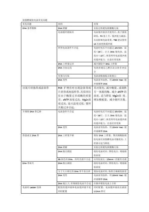 琼脂糖凝胶电泳常见问题