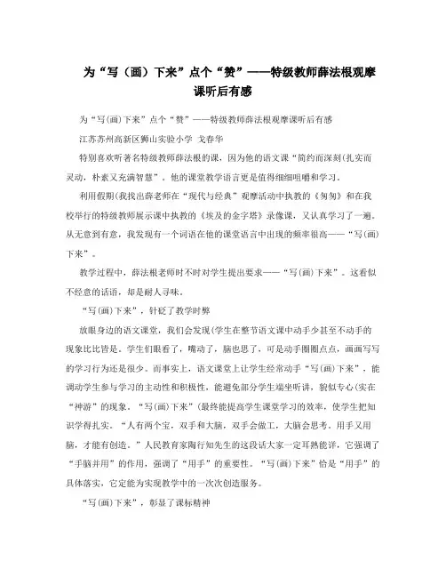 为“写(画)下来”点个“赞”——特级教师薛法根观摩课听后有感