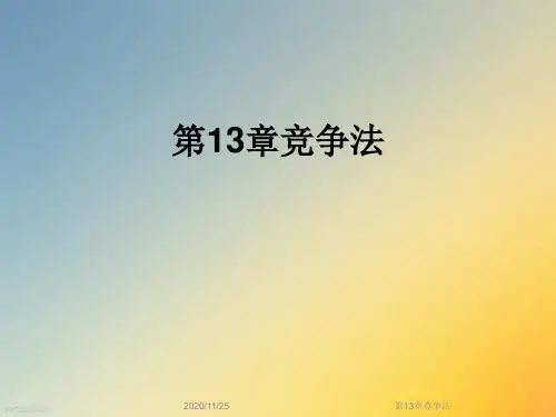 第13章竞争法