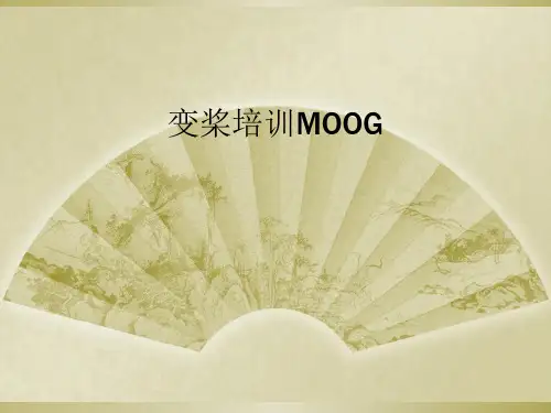 变桨培训MOOG