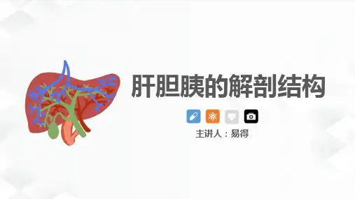 肝胆胰的解剖结构【最新版,直接用】