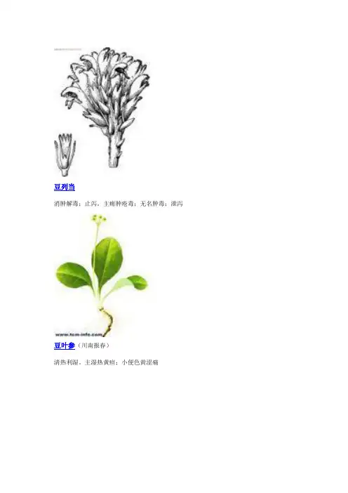 3000种中医药材第501-600种